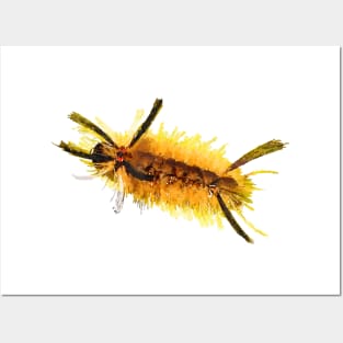 Banded Tussock Moth Caterpillar Yellow Fuzzy Furry Cute Posters and Art